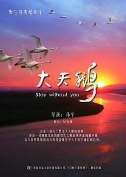 《大天鵝》