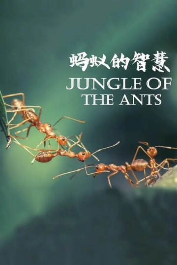 《螞蟻的智慧》