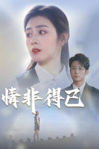 《情非得已》